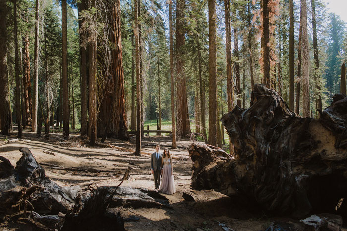 bride and groom portrait in Sequoia National Park