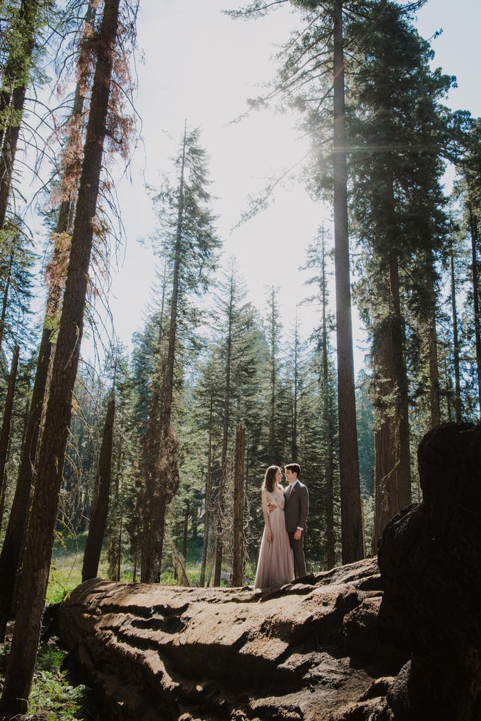 wedding portrait in Sequoia National Park