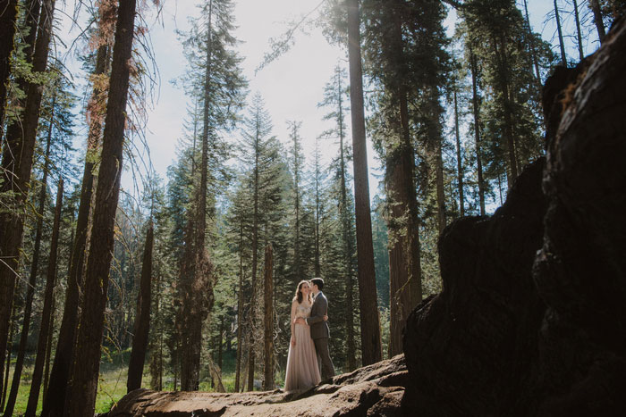 bride and groom portrait in Sequoia National Park