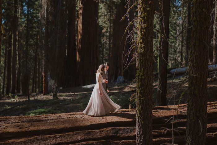 bride and groom portrait in Sequoia National Park