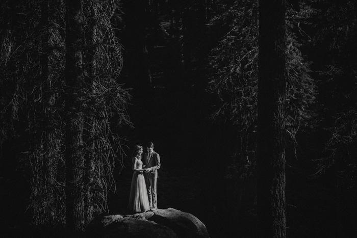 bride and groom portrait in Sequoia National Park