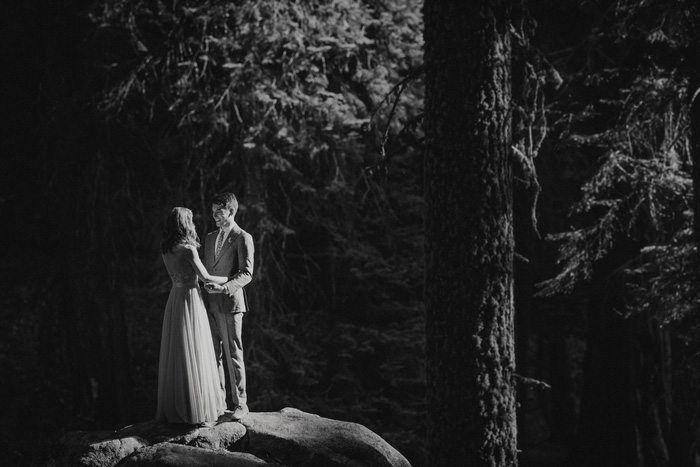 wedding portrait in Sequoia National Park