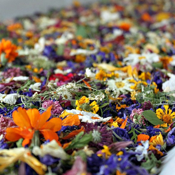 dried flower confetti