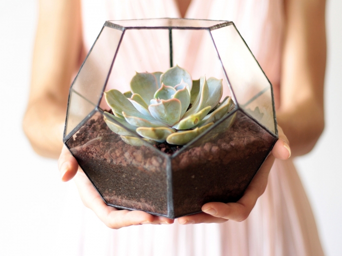 geometric terrarrium