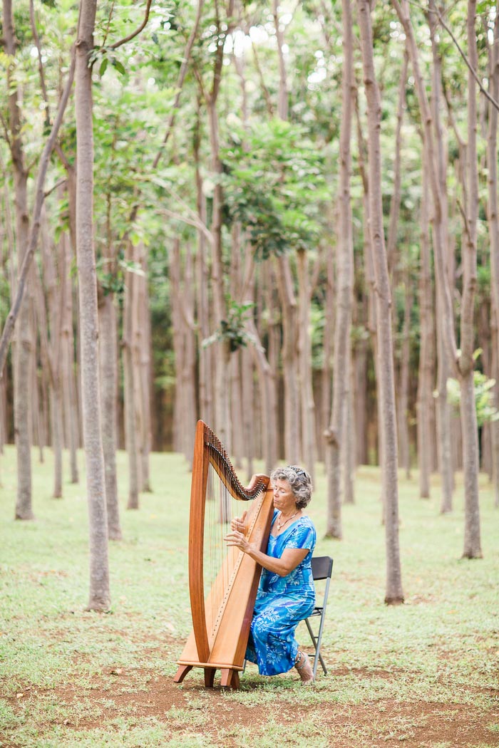 wedding harpist