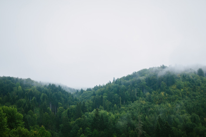 ukrainian mountains