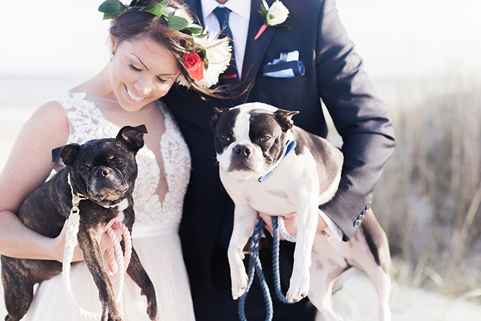 bride and groom portrait with dogs