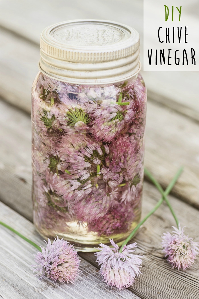 chive vinegar