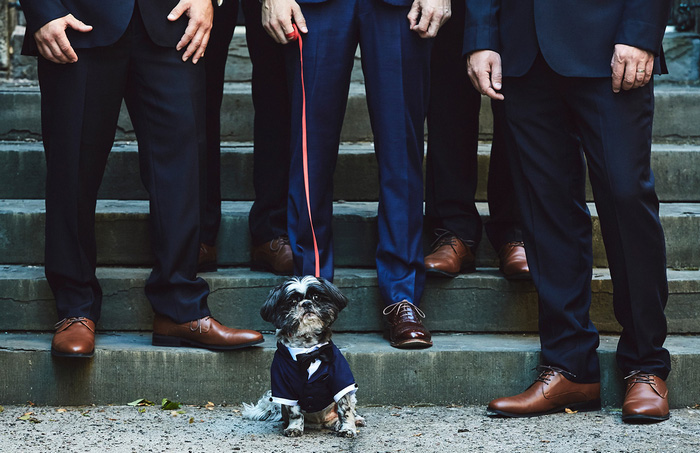 groomsmen with dog