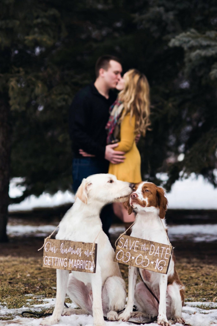 dog wedding signs