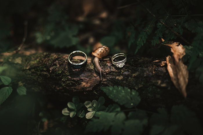 wedding rings and snail