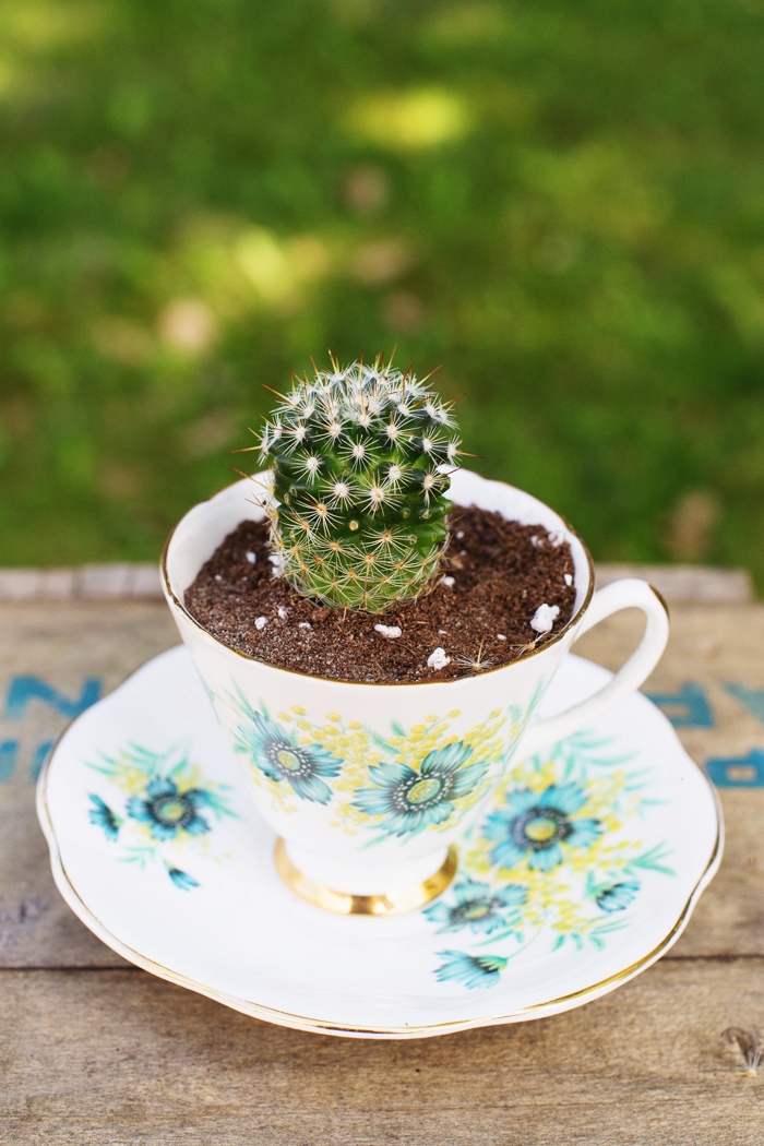 cactus favors for wedding