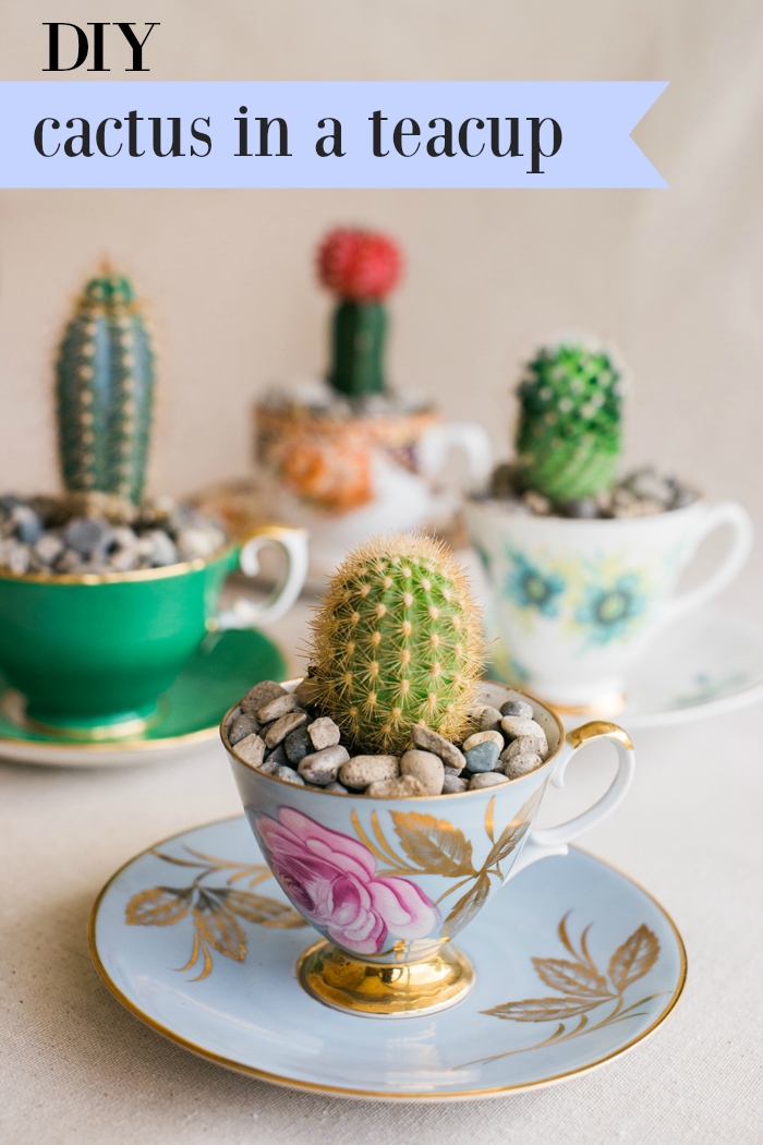 DIY CACtus in a teacup favor