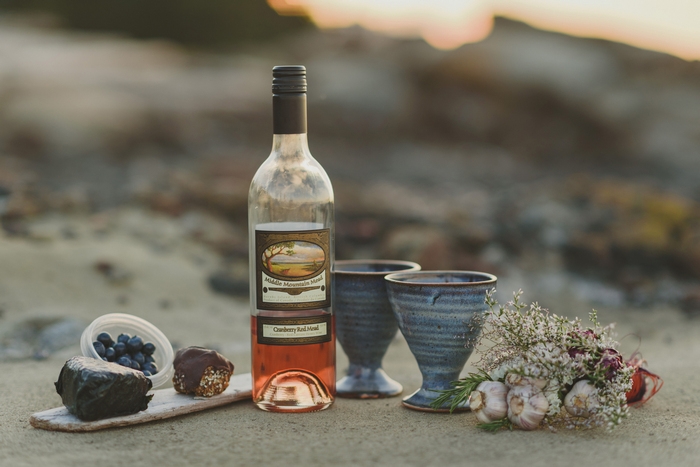 Hornby-Island-BC-elopement-Jennifer-Armstrong-Photography-79