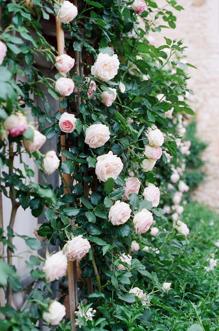 florence-tuscany-intimate-wedding-rachel-joseph-43