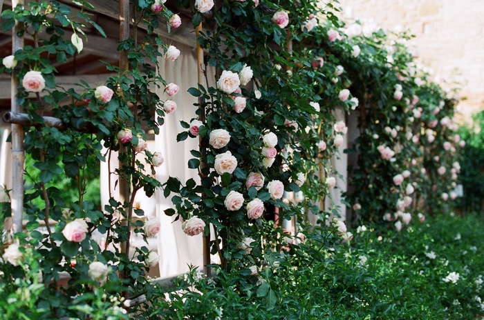 florence-tuscany-intimate-wedding-rachel-joseph-56