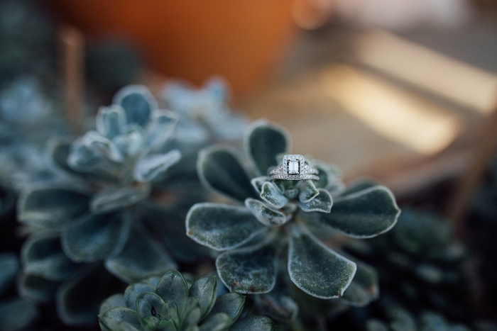 volunteer park greenhouse conservatory washington styled shoot