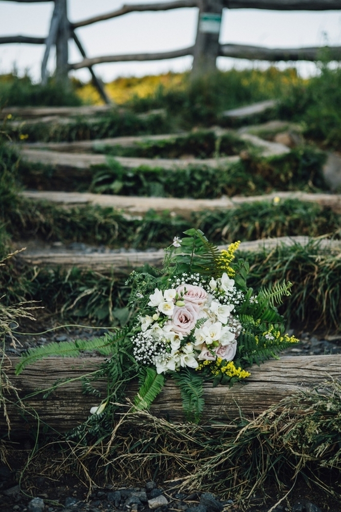 state park elopement josh holly