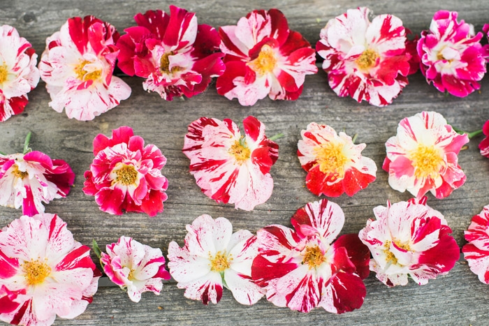 rose flower crown