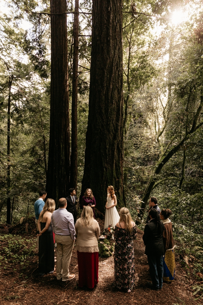 california redwoods wedding small