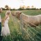 zingermans-cornman-michigan-intimate-wedding-3 thumbnail