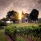 peninsula ridge winery weddings thumbnail