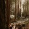 Best of 2018_Weddings_Katie-Mitch-6 thumbnail