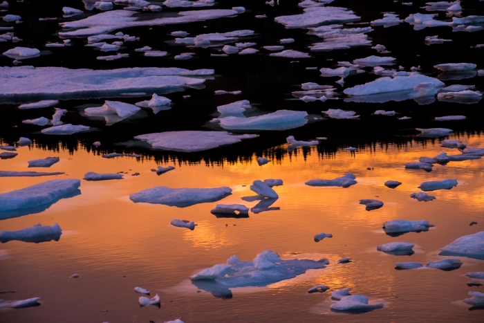 crow-head-nfld-icebergs-sunset