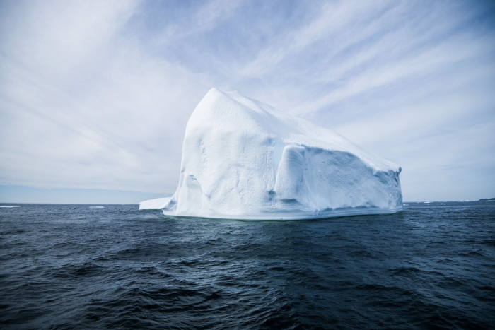 twilingate icebergs