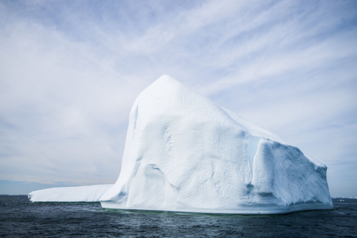 twilingate-icebergs-boat-tour