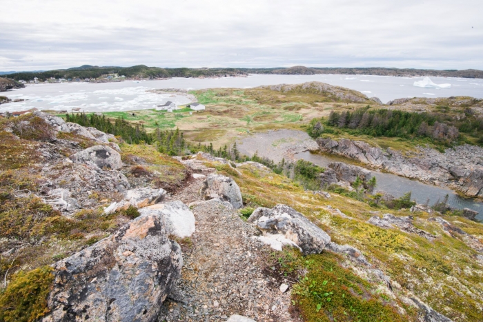 twilingate hiking trails