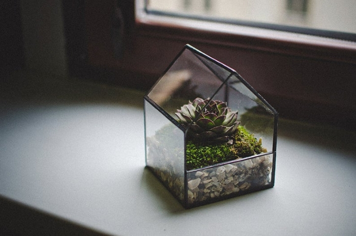 glass terrarium for fairy garden