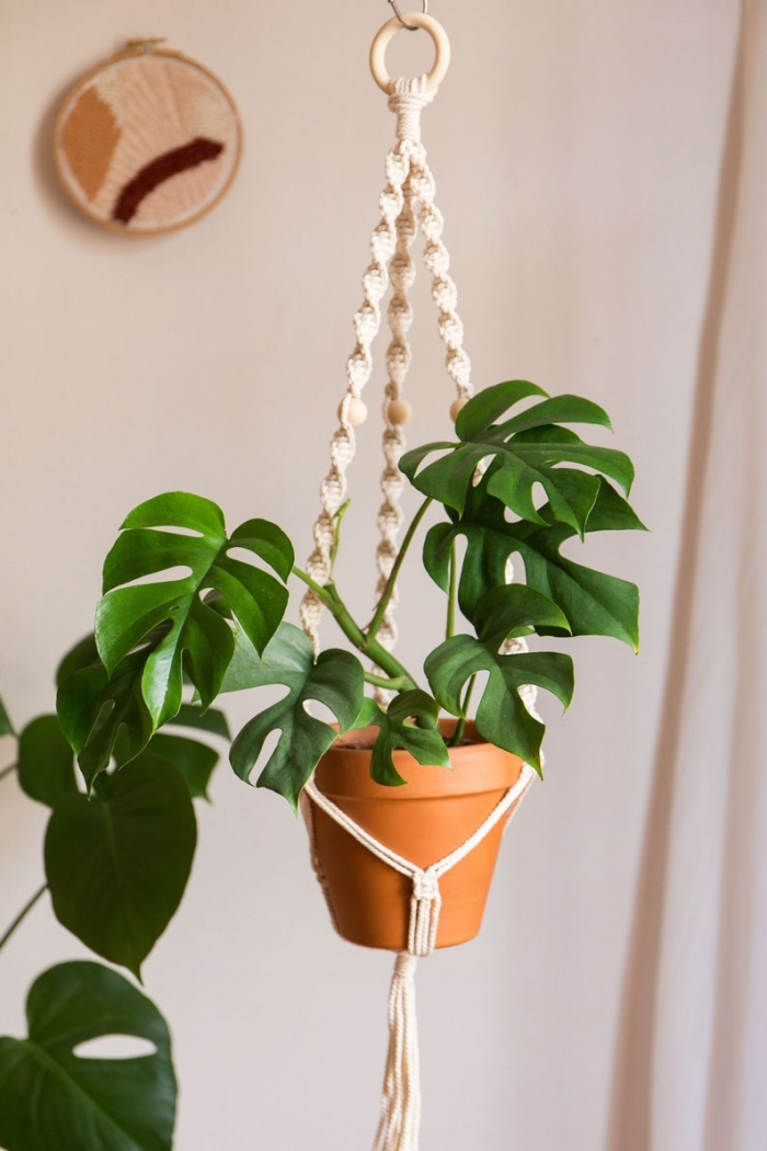 macrame plant hanger